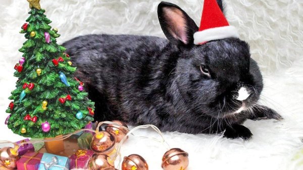 Новогодний кролик вектор