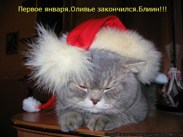 Новогодние праздники закончились