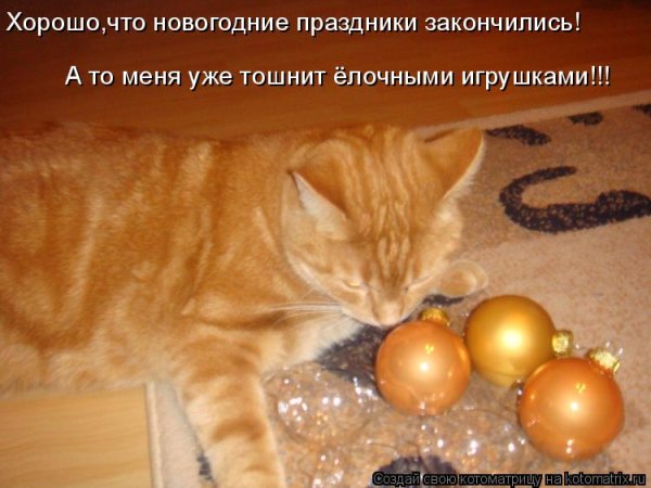 Праздники закончились