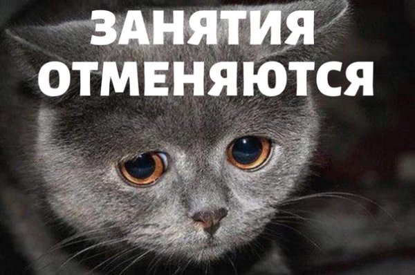 Новогодние каникулы закончились