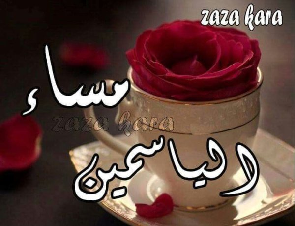 Пожелания с добрым утром на арабском языке