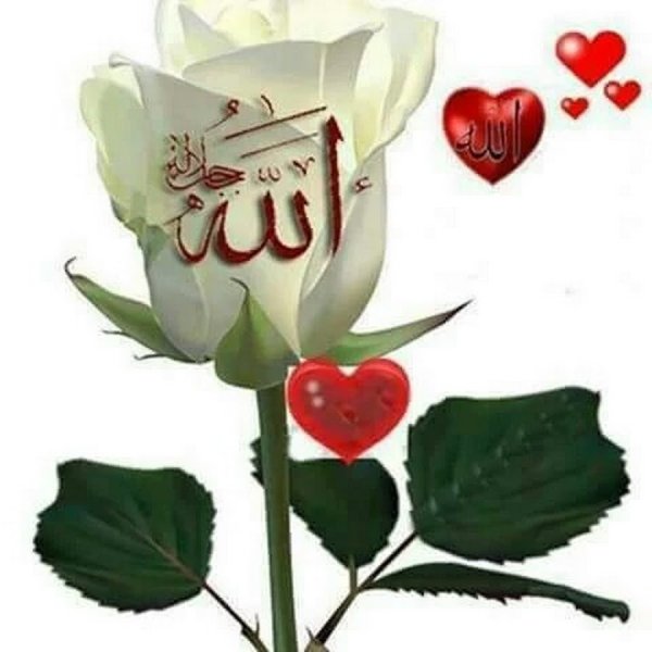 Розы с надписью Аллах