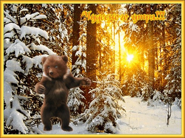 Доброе Воскресное утро зима животные