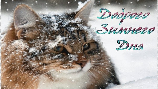 Добрый день зима