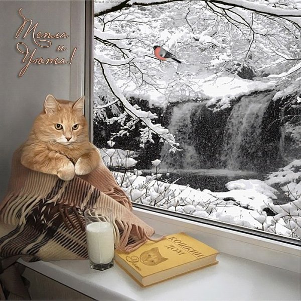 Уютного зимнего дня