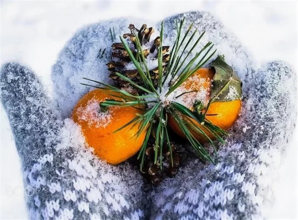 Зима новый год мандарины