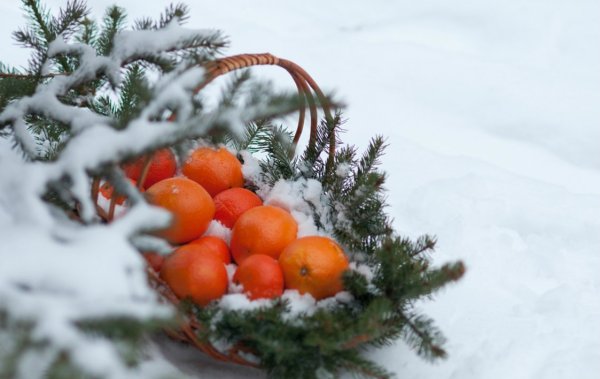 Зимний натюрморт