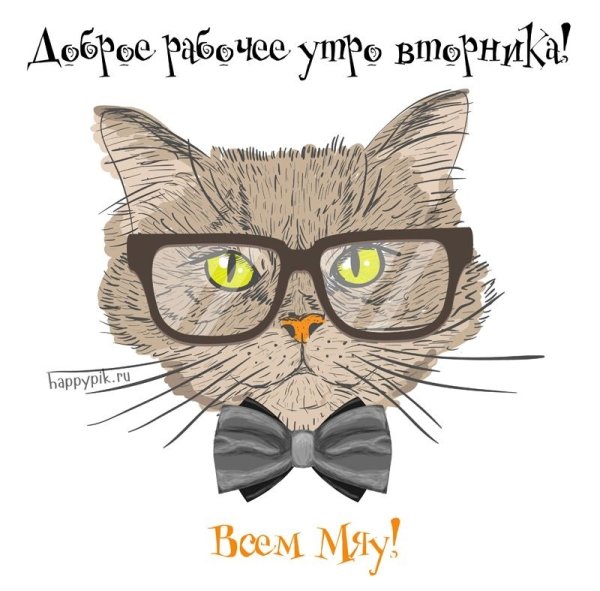 Доброе утро вторника