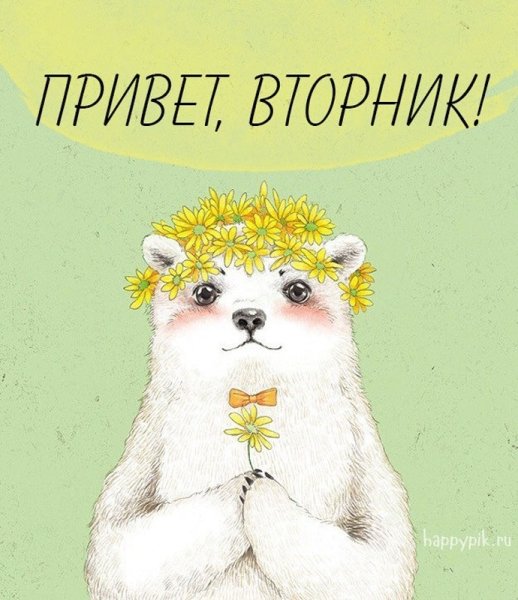 Доброе утро вторника