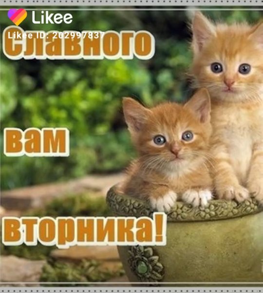 С добрым утром вторника