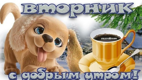 Доброе утро вторника