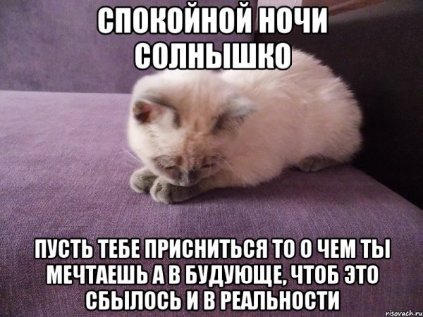 Пожелания сладких снов