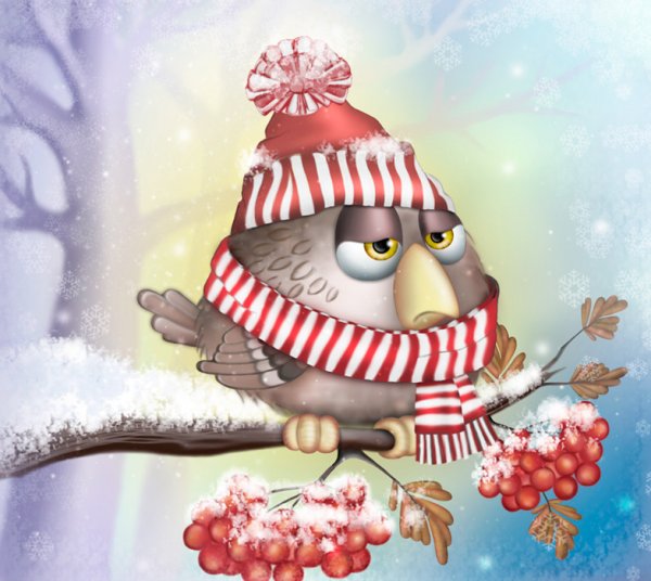 Веселые зимние деньки