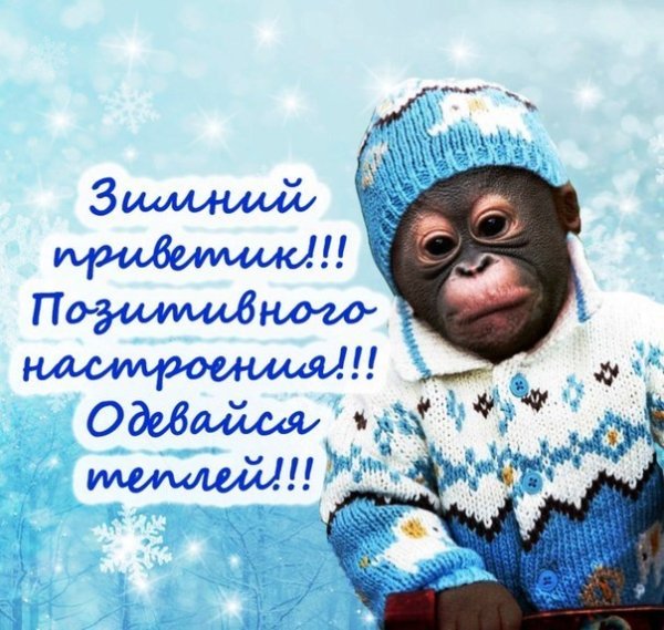 Доброе зимнее утро