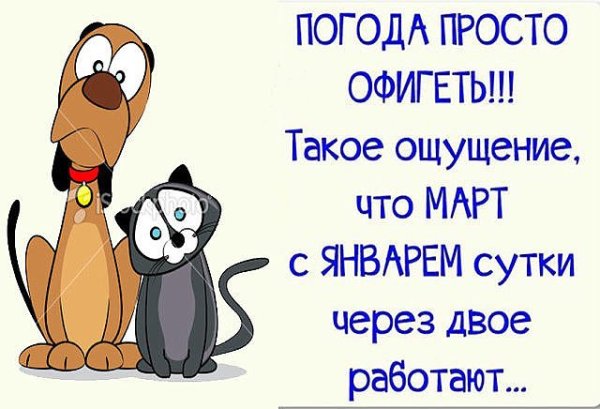 Открытки о погоде прикольные