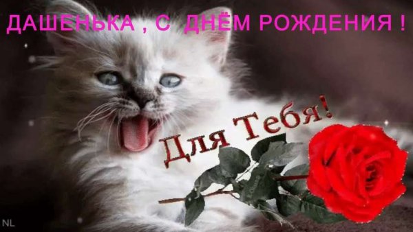 С днём рождения Даша