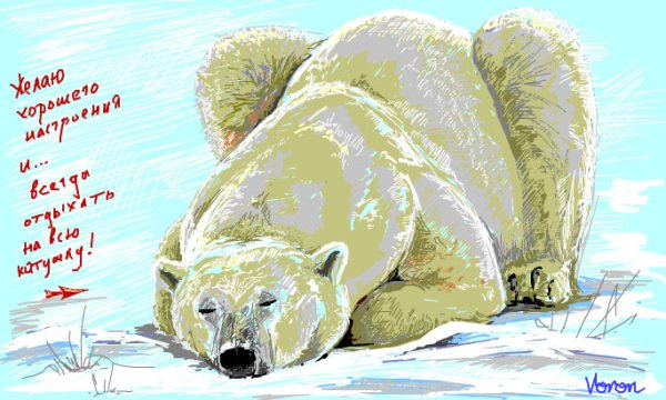 Поздравления с днём рождения с медведем