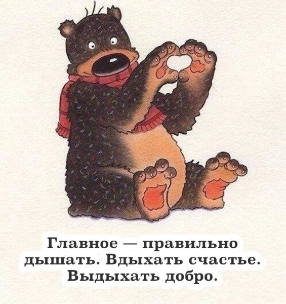 Открытки с медведями прикольные