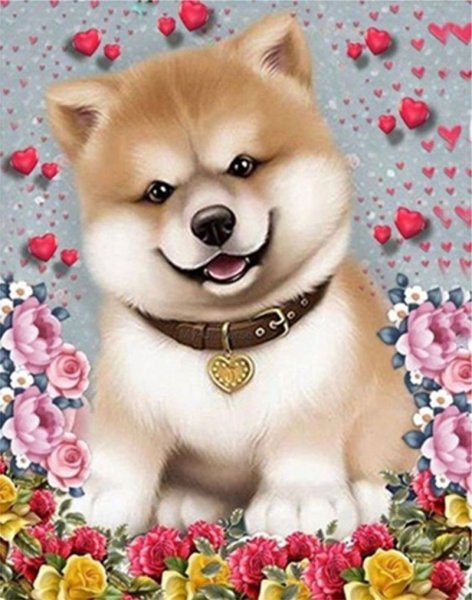 Милые собачки