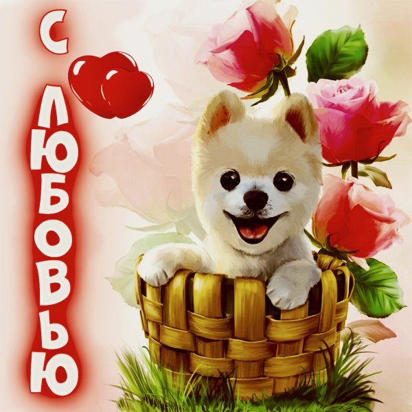 Милые открытки с собаками