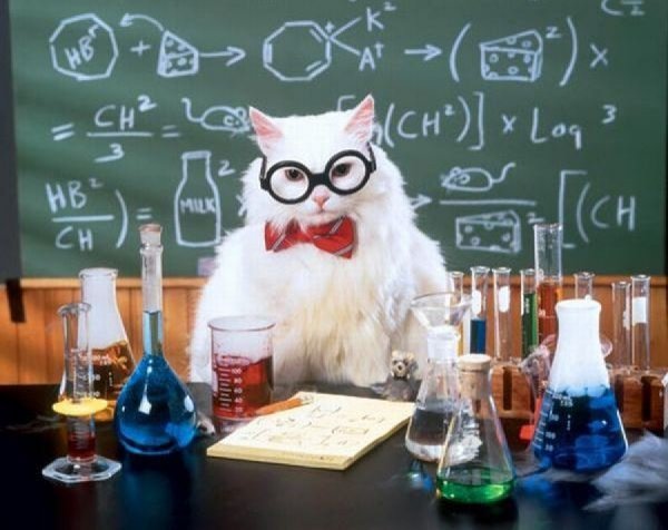 Кот Химик