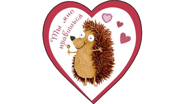 Мой любимый Ёжик