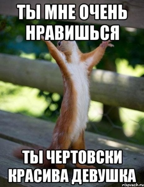 Обожаю тебя картинки