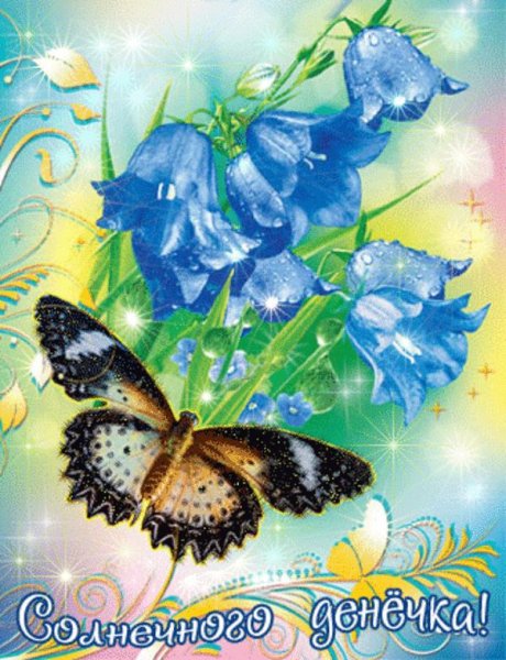 Анимационные открытки добрый день