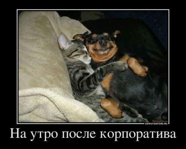 Приколы после корпоратива
