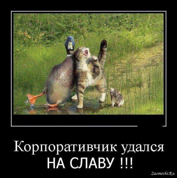 Корпоратив приколы