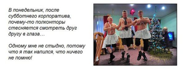 После новогоднего корпоратива приколы