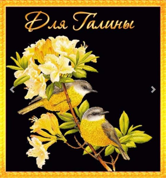 Красивые цветы для Галины