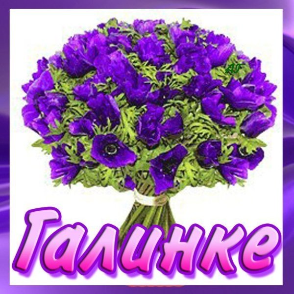 Красивые цветы для Галины