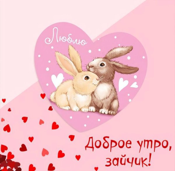 Доброе утро Зайка