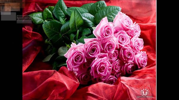 Поздравление с 8 марта подруге