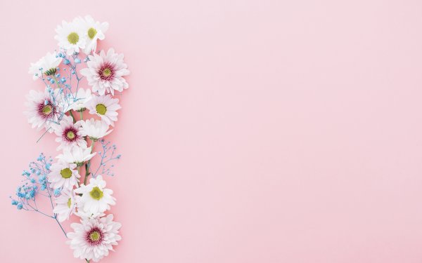 Красивый цветочный фон для текста