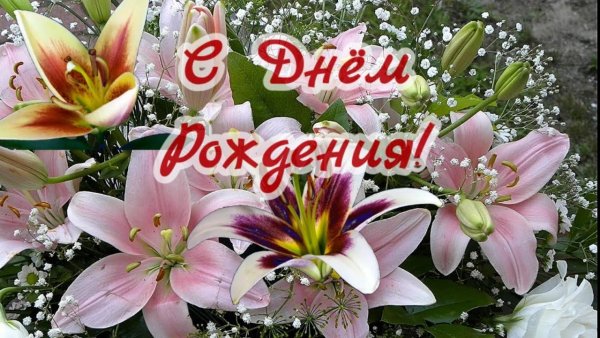 Открытки с днём рождения лилии