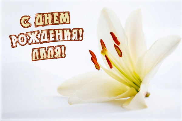 Поздравления с днём рождения лилии