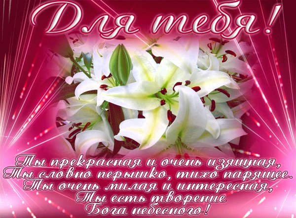 Лилии для любимой