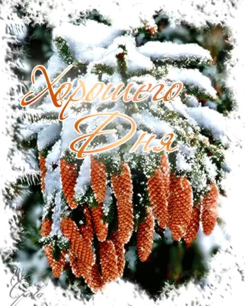 Открытки хорошего зимнего дня