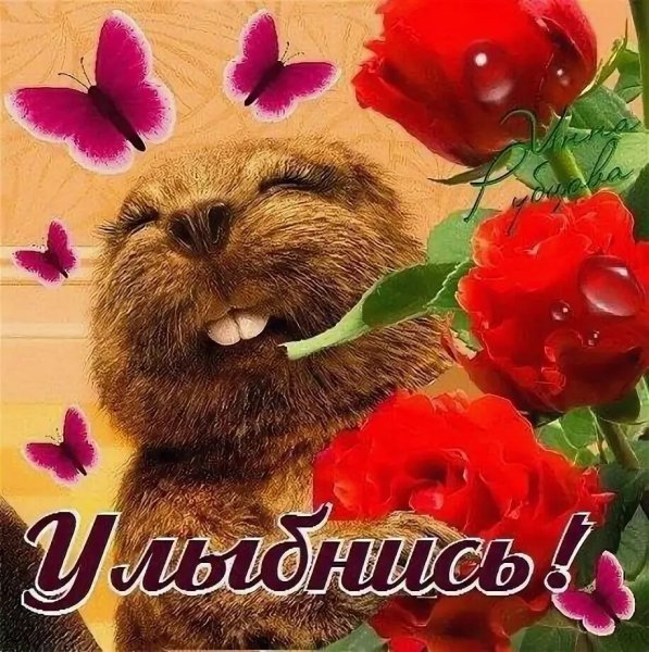 Открытка не грустите