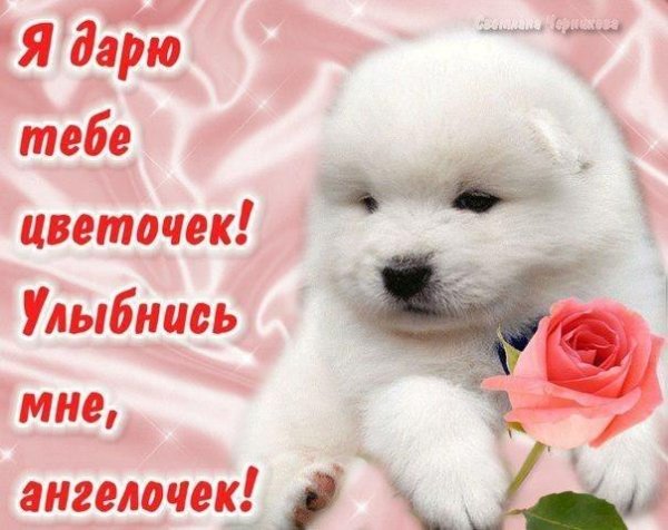 Улыбнись любимая