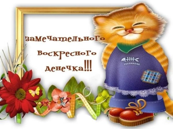 Прикольные поздравления с воскресеньем