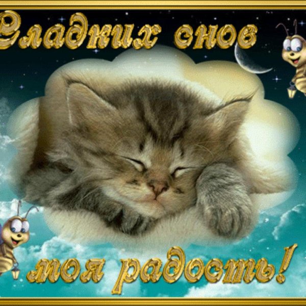 Спокойной ночи сладких снов