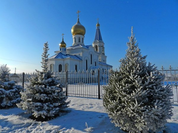 День немоты и тишины 16 декабря