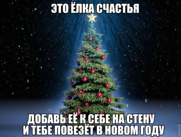 Елка счастья