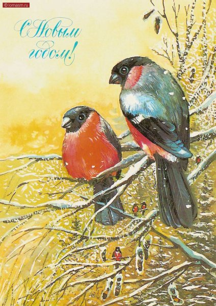 Старые открытки новогодние со снегирями