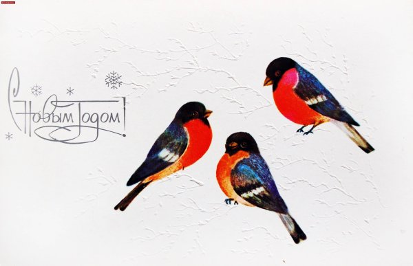 Советские открытки со снегирями