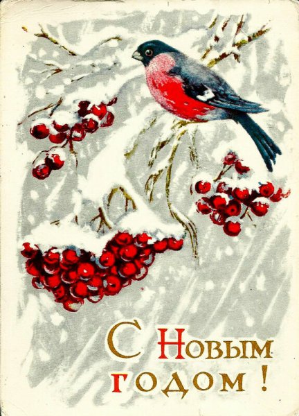 Новогодние открытки со снегирями