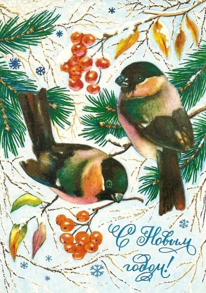 Снегири на ветке